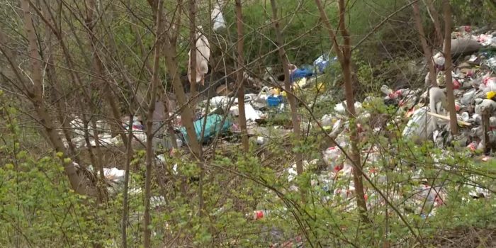 Beograd u pokretu: Divlja deponija na Novom Beogradu predstavlja potencijalnu ekološku opasnost